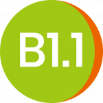 B1-1